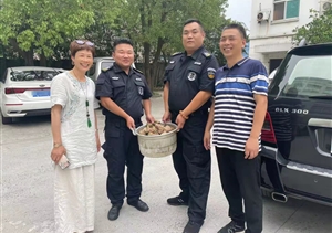 颗颗粽子寄深情 端午慰问暖人心 —闲林项目收到热心市民送来的粽