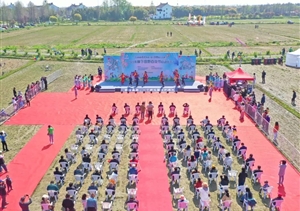 宗保公司协助完成廊下镇田野百花节之草坪风筝嘉年华活动安保任务